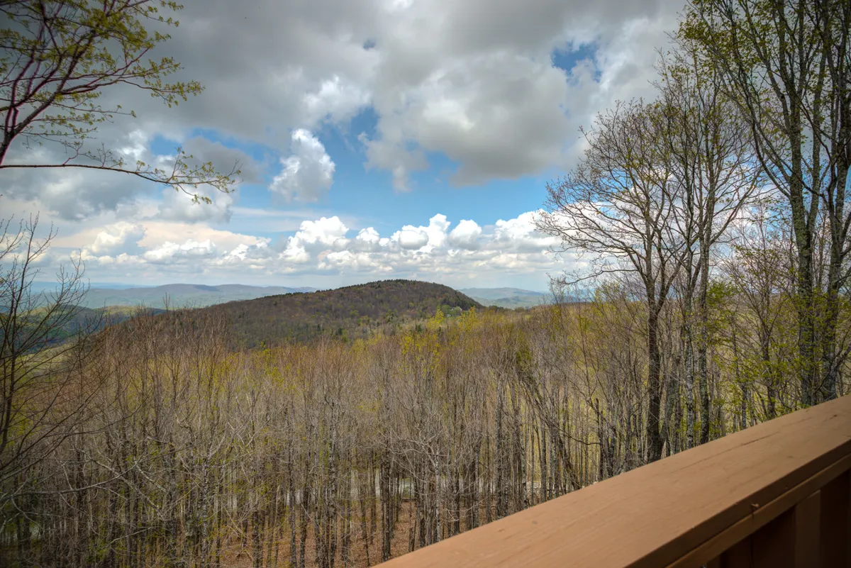 A sweeping view of the Blue Ridge Mountains with a cloudy sky and leafless winter trees in the foreground. The mood is quiet and tranquil, emphasizing the grandeur and serenity of the mountain setting.